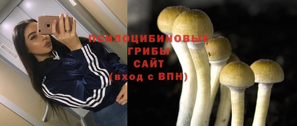спайс Сосновоборск