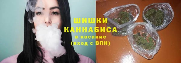 гашик Алексеевка