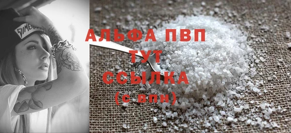 индика Сосновка