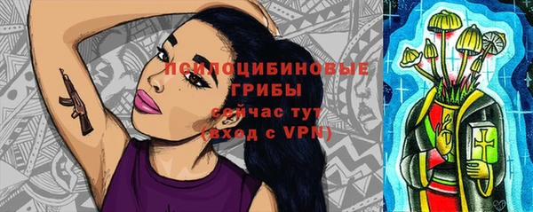 ешки Алзамай