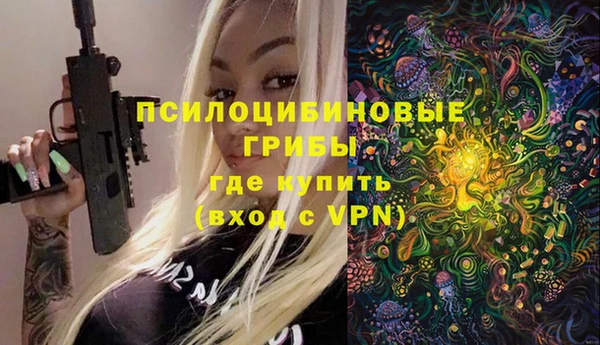 индика Сосновка