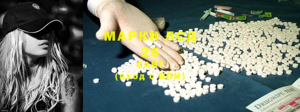 ПСИЛОЦИБИНОВЫЕ ГРИБЫ Алексин
