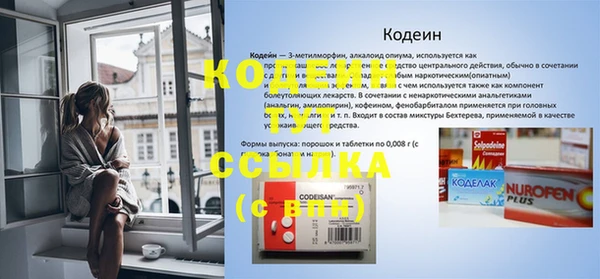 индика Сосновка