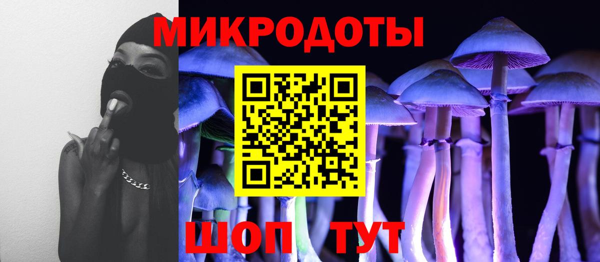 Галлюциногенные грибы мухоморы Касимов