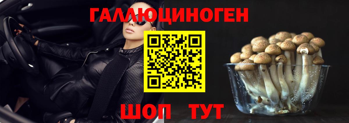 Касимов  где купить наркоту  Псилоцибиновые грибы ЛСД  Вход с VPN  Галлюциногенные грибы мухоморы 